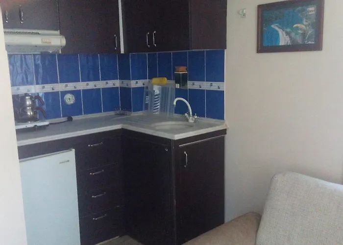 酒店 Erciyes 费特希耶